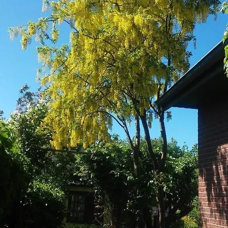 Apartamento Haus Sommerblume Großenbrode