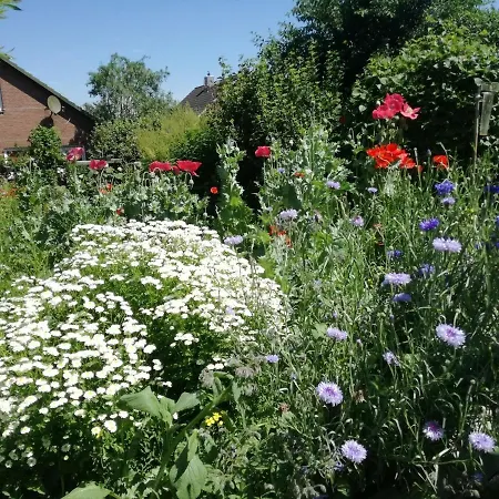 Haus Sommerblume Apartamento *